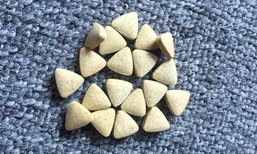 異形片劑加工